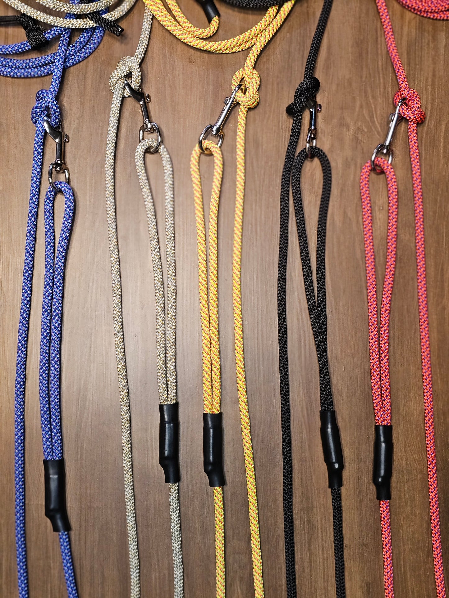 Hands Free Leash